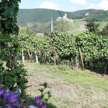 Ferienappartement Lieser Bernkastel-Kues Εξωτερικό φωτογραφία