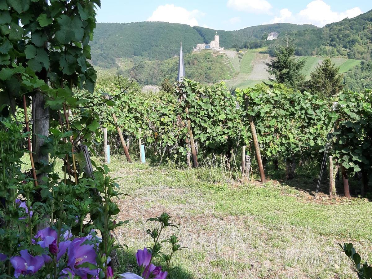 Ferienappartement Lieser Bernkastel-Kues Εξωτερικό φωτογραφία